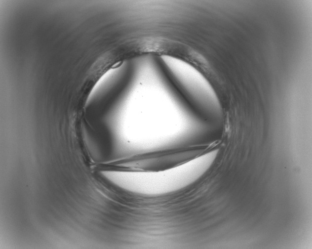 X0000065260217200603172239