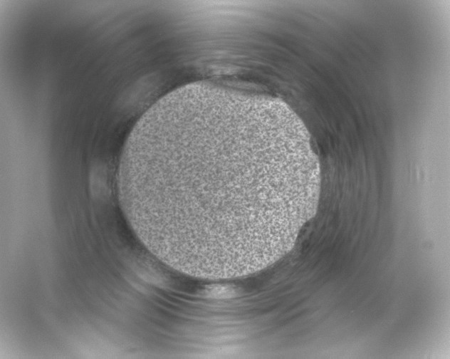 X0000065260218200603172239