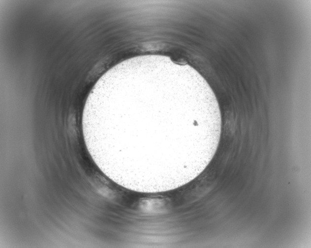 X0000065260220200603172239