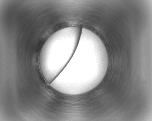 X0000065260221200603172239