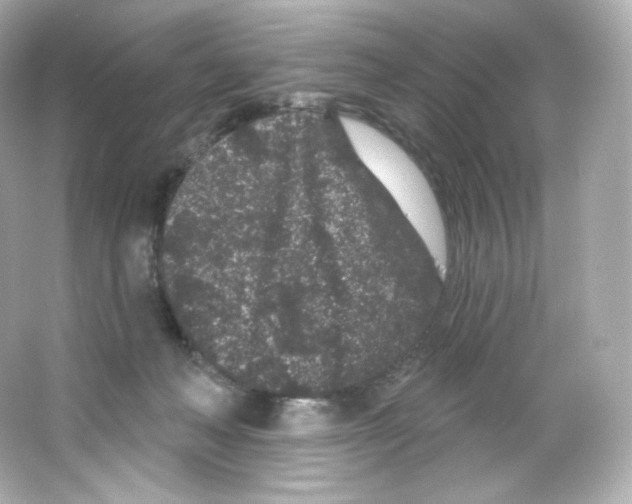 X0000065260222200603172239