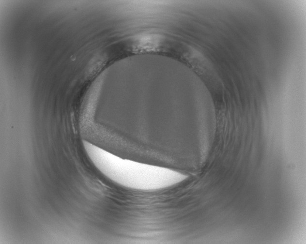 X0000065260224200603172239