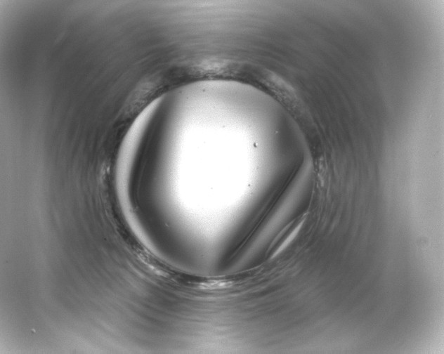 X0000065260225200603172239