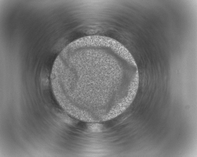 X0000065260226200603172239