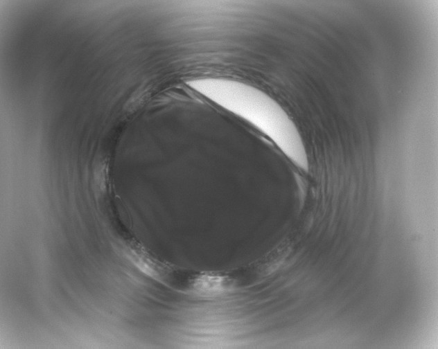 X0000065260227200603172239