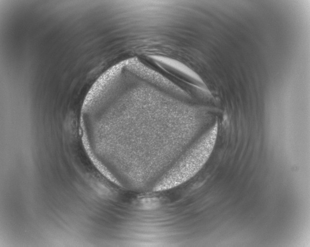 X0000065260228200603172239