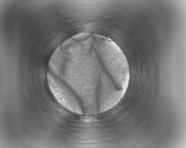 X0000065260230200603172239