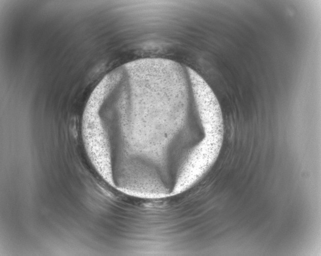 X0000065260232200603172239