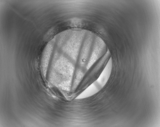 X0000065260233200603172238