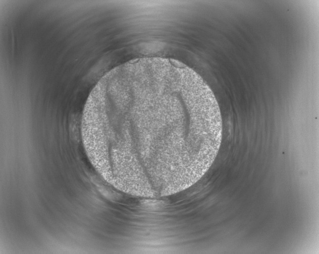 X0000065260234200603172238