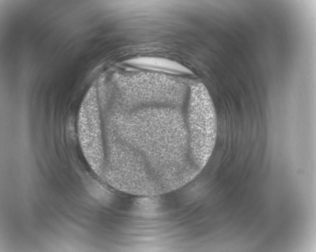 X0000065260238200603172238