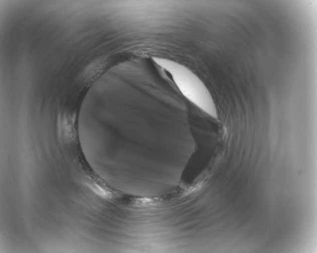 X0000065260239200603172238