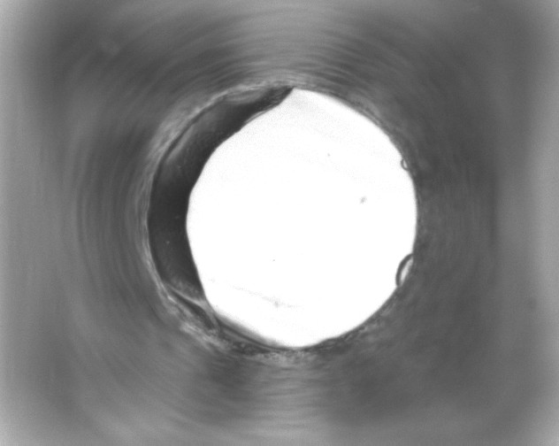 X0000065260241200603172238