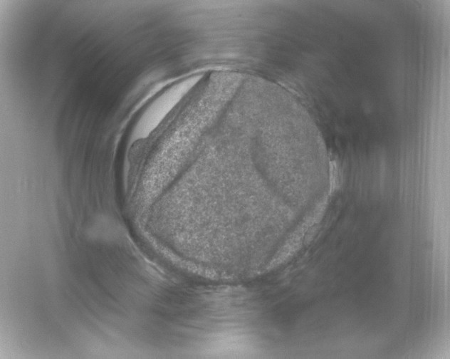 X0000065260243200603172238