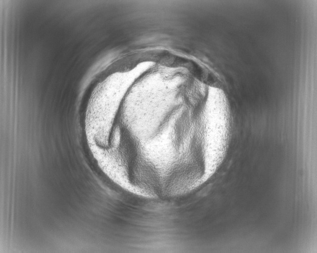 X0000065260245200603172238