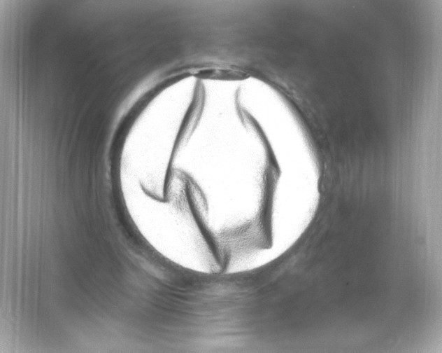 X0000065260246200603172238