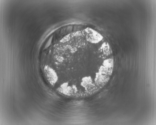 X0000065260247200603172238