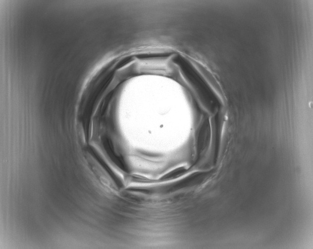 X0000065260248200603172238