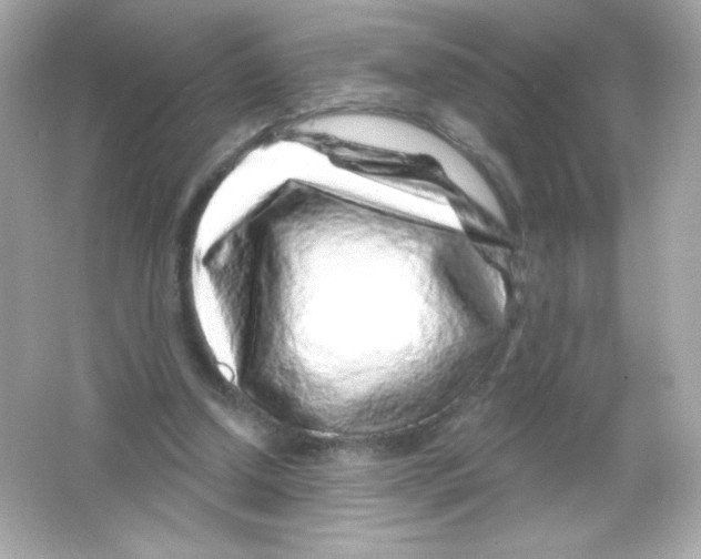 X0000065260250200603172238