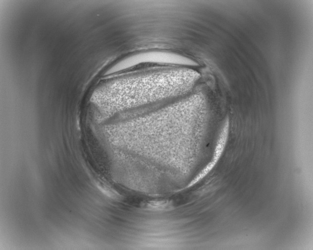 X0000065260251200603172238