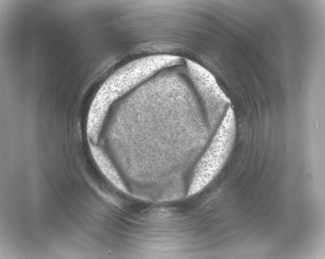 X0000065260254200603172238