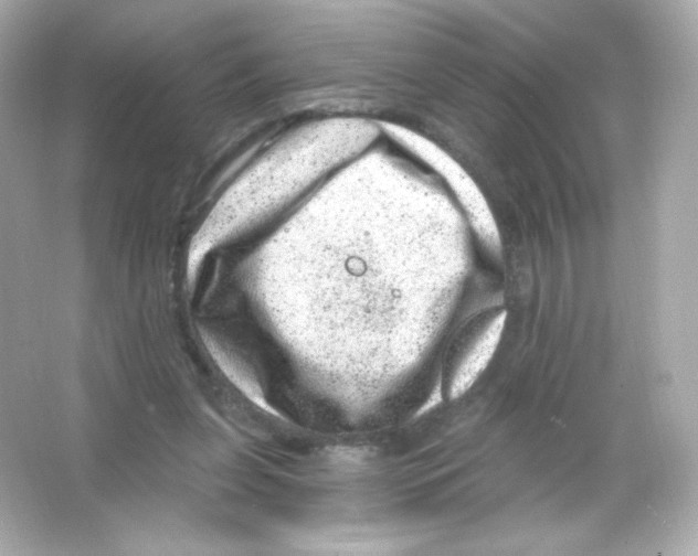 X0000065260255200603172238