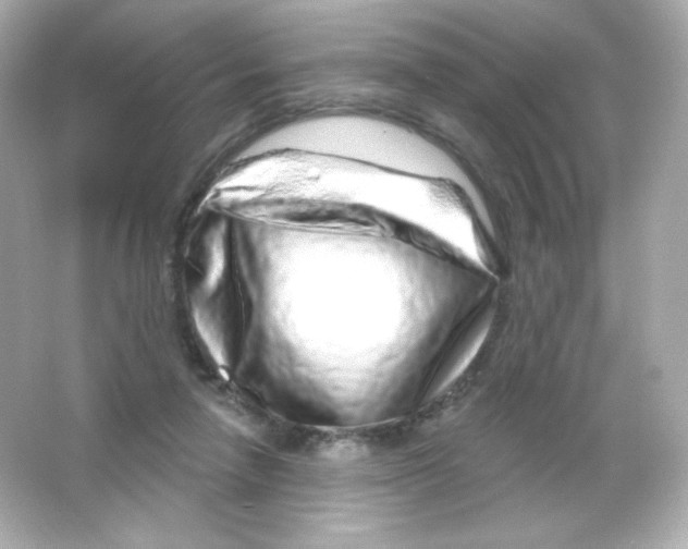 X0000065260258200603172238