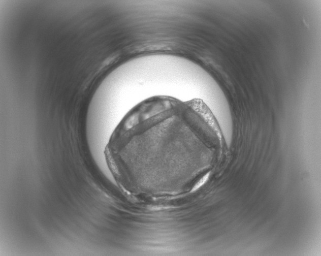 X0000065260260200603172238