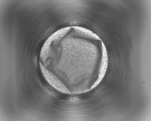 X0000065260262200603172238