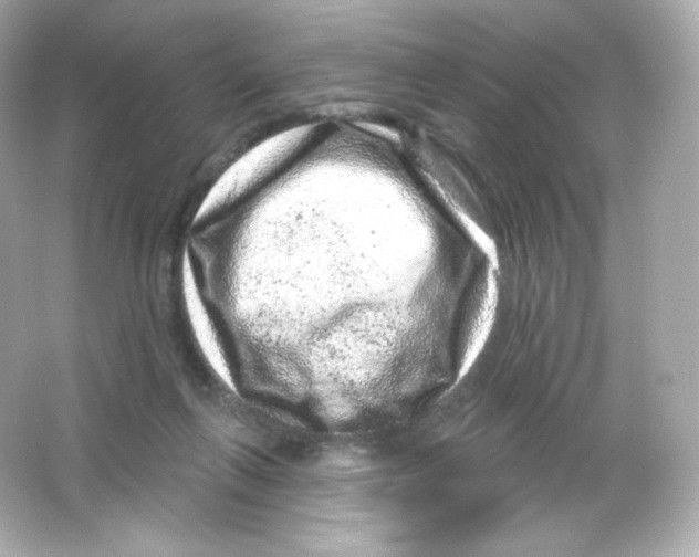 X0000065260263200603172238