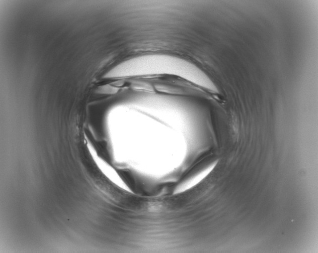 X0000065260264200603172238