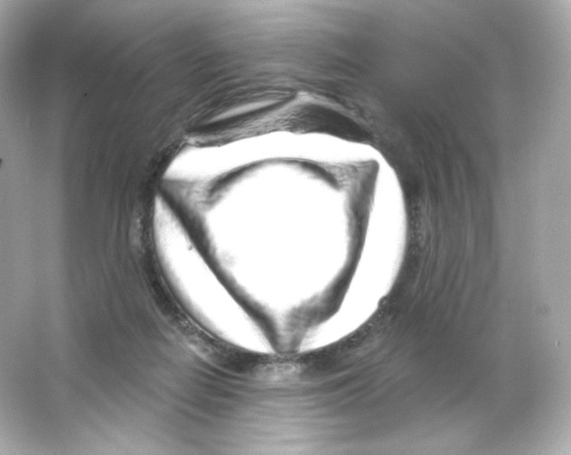 X0000065260266200603172238