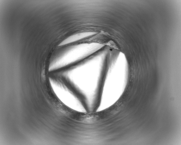 X0000065260267200603172238