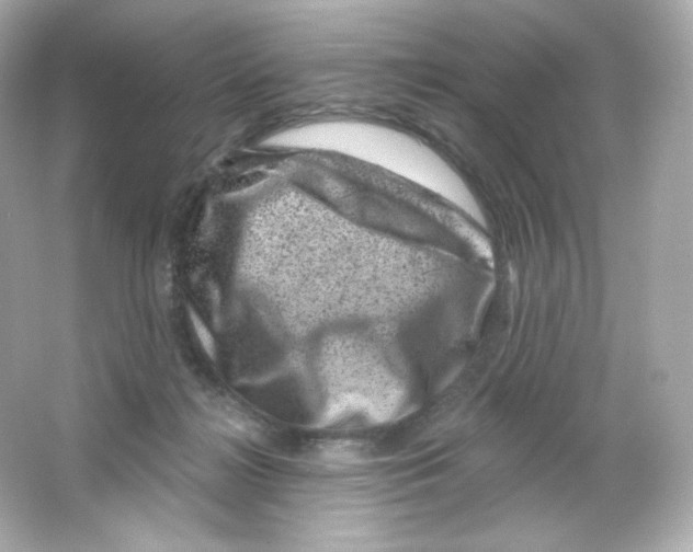 X0000065260268200603172238