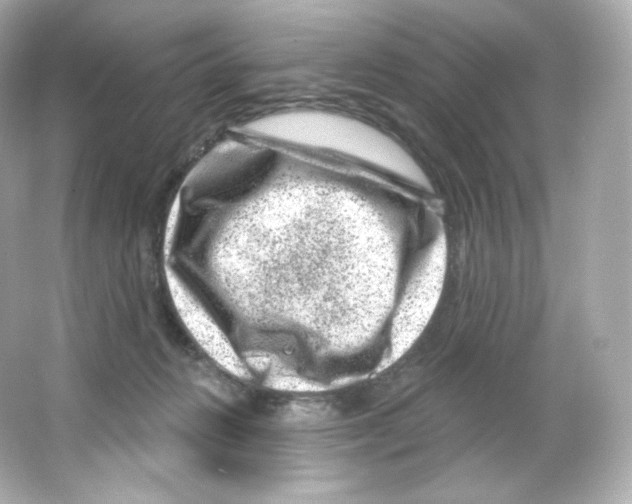 X0000065260270200603172238