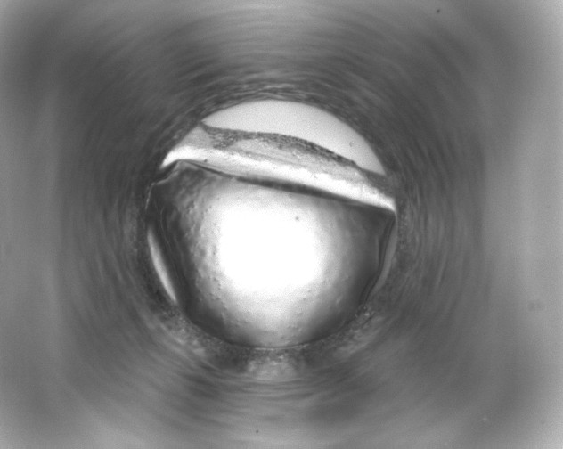 X0000065260271200603172238