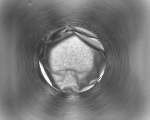 X0000065260274200603172238