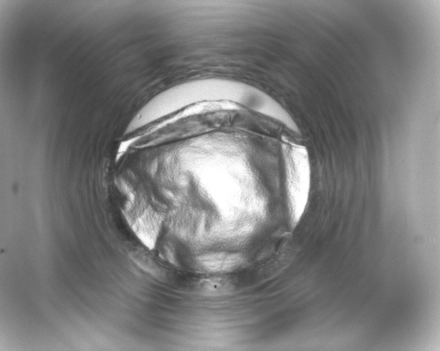 X0000065260275200603172238