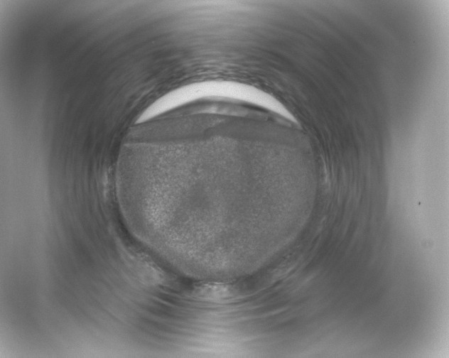 X0000065260276200603172238