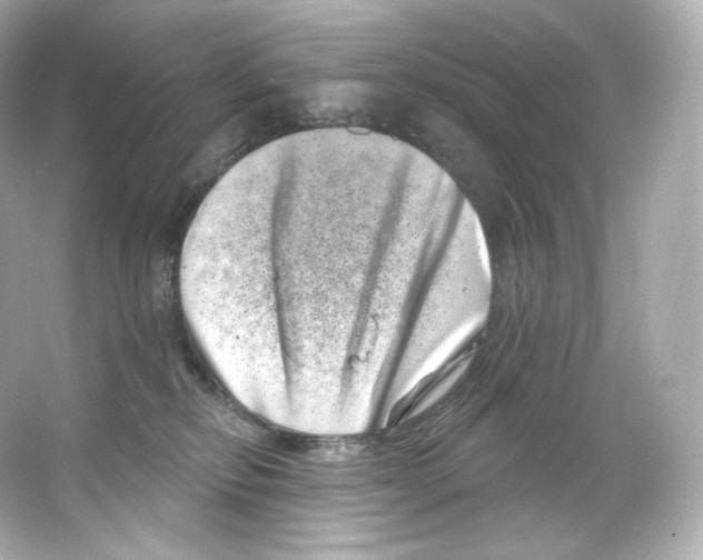 X0000065260278200603172238