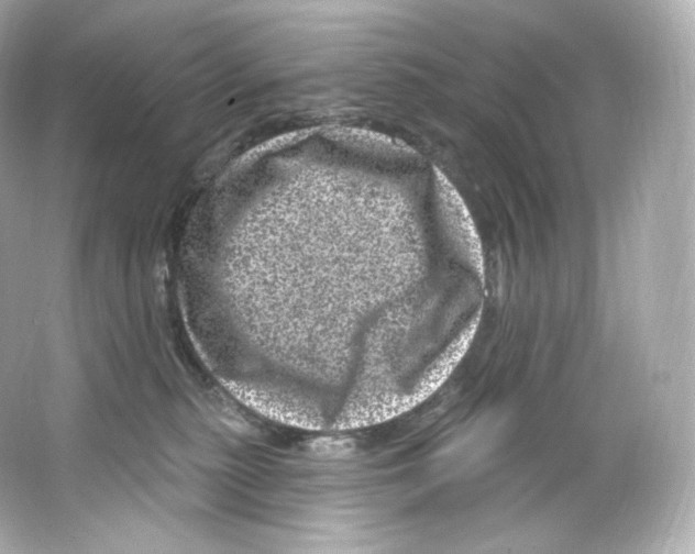 X0000065260279200603172238