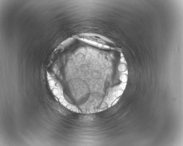 X0000065260282200603172238