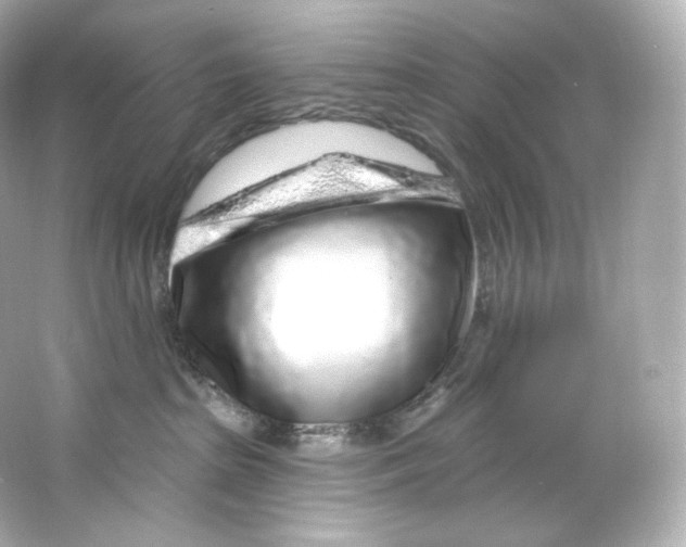 X0000065260285200603172238