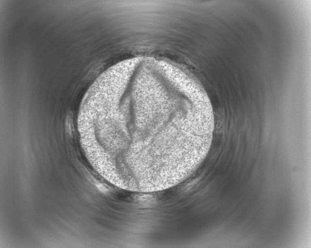 X0000065260287200603172238