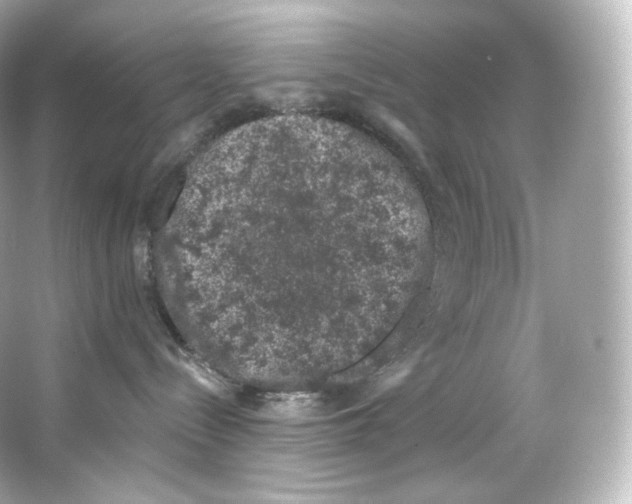 X0000065260288200603172238