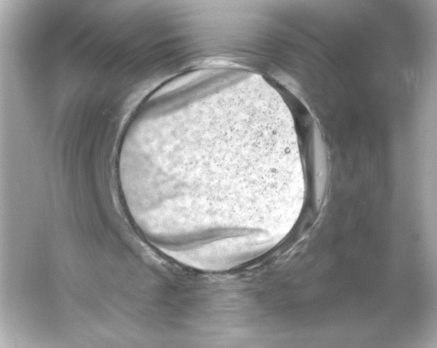 X0000065260289200603172238