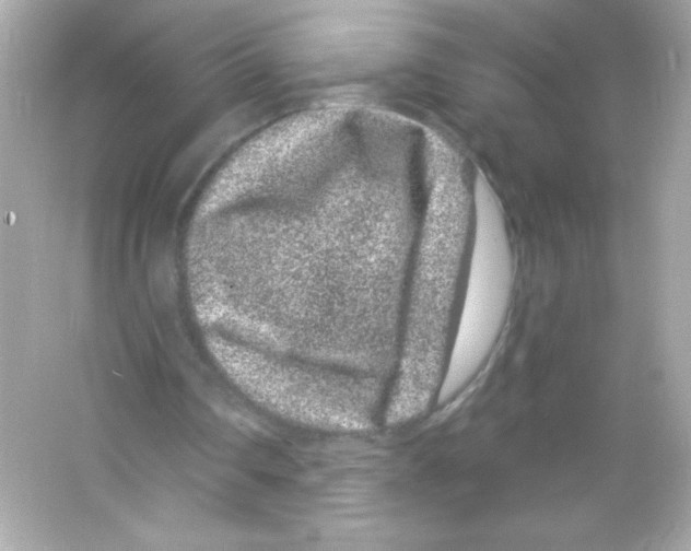 X0000065260290200603172238