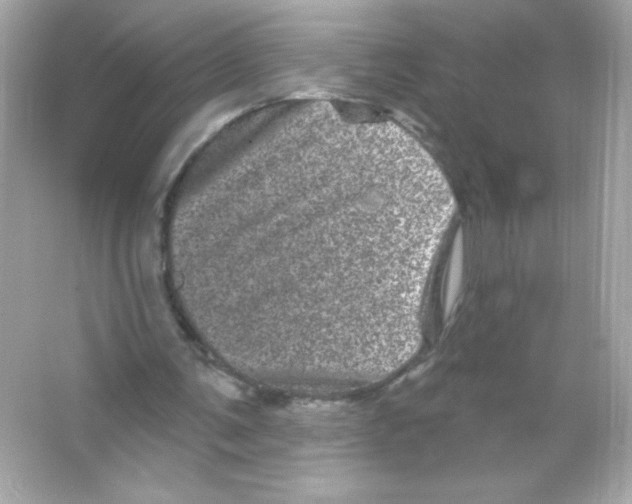 X0000065260291200603172238