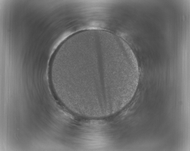 X0000065260292200603172237