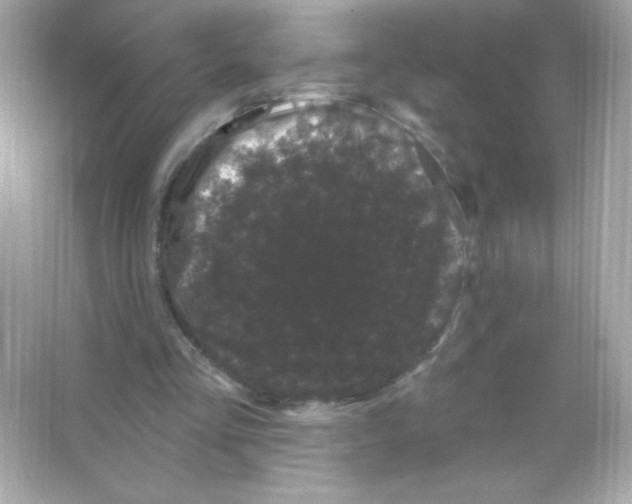 X0000065260293200603172237